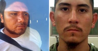 ICE recaptures illegal immigrants who escaped after allegedly choking Border Patrol agent