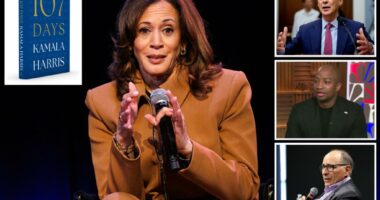 Kamala Harris' book, media tour slammed by liberals