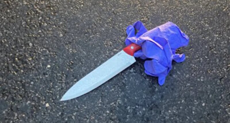 Knife-wielding man slashes NYPD officer in face with 14-inch blade, police shoot him dead in pursuit