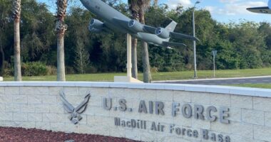 Lawsuit claims mold issues continue to plague MacDill base housing