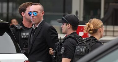 Man arrested by Secret Service after 'scaling White House fence'