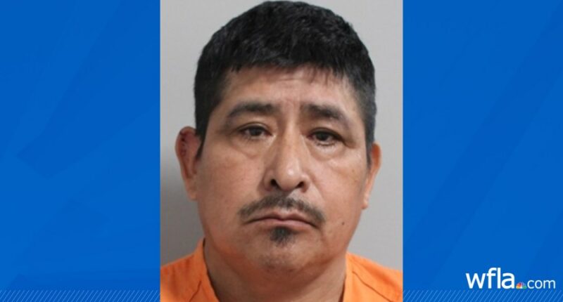 Man dragged inside home, left for dead after being run over at Mulberry party: Judd