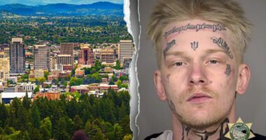 Manhunt ignites in major US city after accused murderer walks free in 'monumental mistake': victim's mother