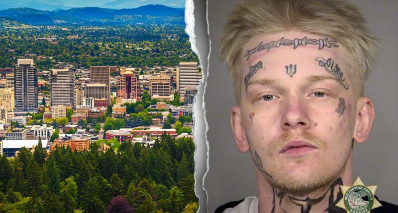 Manhunt ignites in major US city after accused murderer walks free in 'monumental mistake': victim's mother