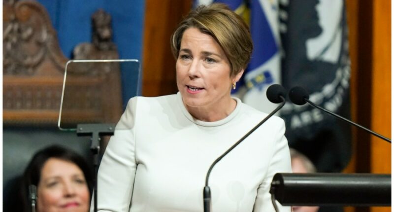 Massachusetts governor calls Trump Patriot 2.0 ICE action 'political theater'