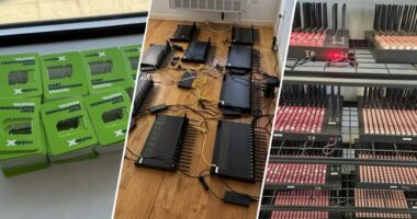 Massive telecom bust in major city is ‘wake-up call’ as foreign adversaries threaten US security: experts