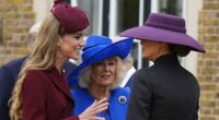 Moment Melania breaks off talking to Camilla after spotting Kate