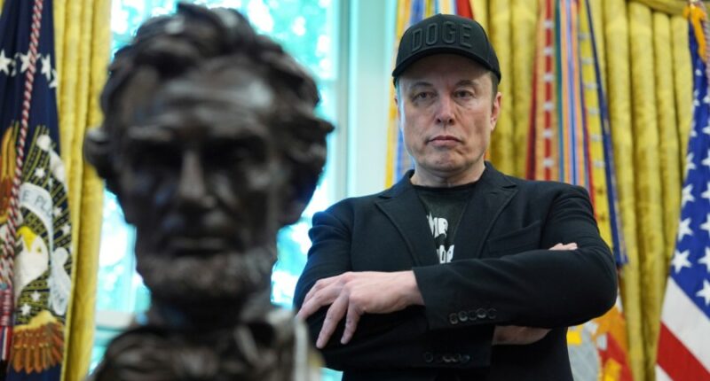 Musk: 'The left is the party of murder'