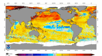 Mysterious 'warm blob' re-emerges in Pacific Ocean; long-term impacts expected