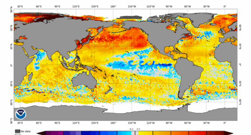 Mysterious 'warm blob' re-emerges in Pacific Ocean; long-term impacts expected