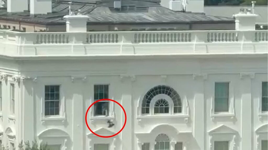 Mystery as video shows object being thrown out of White House window