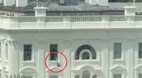 Mystery as video shows object being thrown out of White House window
