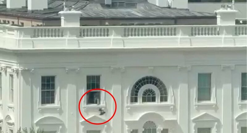 Mystery as video shows object being thrown out of White House window