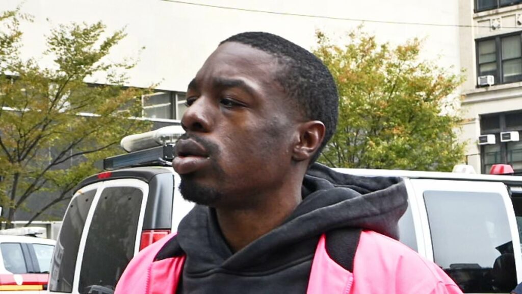 NYC man accused of shoving cop onto train tracks wears scary hoodie