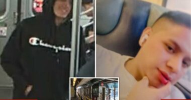 NYC subway rider randomly stabbed by smiling straphanger described as 'quiet' hard worker