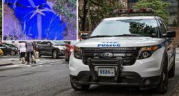 NYPD using distinct tattoos found on dismembered body in Queens to help ID victim