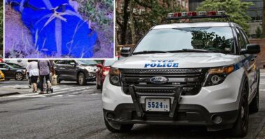 NYPD using distinct tattoos found on dismembered body in Queens to help ID victim