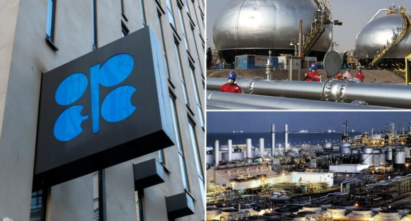 OPEC+ agrees to further boost oil output to regain market share