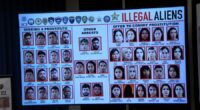 Operation 'Fool Around and Find Out - Again' leads to 246 arrests, Sheriff Judd says