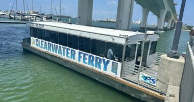 PSTA unanimously approves Dunedin stop on Clearwater Ferry