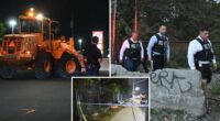 Partial skeletal remains, including human skull, found near NYC strip mall: cops