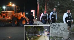 Partial skeletal remains, including human skull, found near NYC strip mall: cops