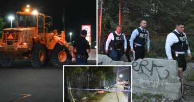 Partial skeletal remains, including human skull, found near NYC strip mall: cops