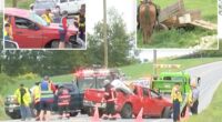 Pickup truck slams into Amish horse-drawn buggy in upstate NY, killing horse and sending 6-year-old to hospital