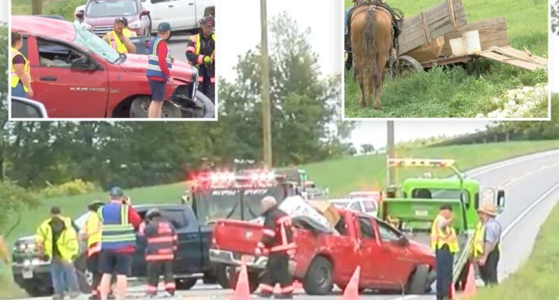 Pickup truck slams into Amish horse-drawn buggy in upstate NY, killing horse and sending 6-year-old to hospital