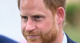 Prince Harry 'taken by surprise' at 'formal' reunion with King Charles