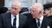 RICHARD KAY: What I fear Andrew will do if Charles cuts him off