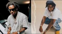 Relationship is financial mistake – Shallipopi