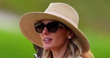 Rory McIlroy's wife Erica hit by a drink on toxic Ryder Cup day