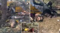 Russian airstrike kills more than 20 people in eastern Ukraine, Zelensky says