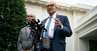 Schumer says he will not support 7- or 10-day stopgap to avoid shutdown