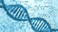 Scientist claims life on Earth was not random... but engineered