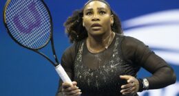 Serena Williams's cotton sculpture revealed after hotel plant incident