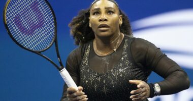Serena Williams's cotton sculpture revealed after hotel plant incident