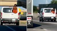 Shirtless inmate in handcuffs hangs out of broken window of prison van