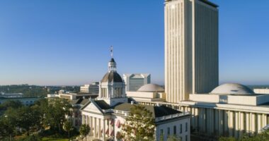 Some Pinellas voters reject DeSantis-led redistricting push as lawmakers seek legal clarification