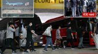 South Korean workers released after days of detention in Georgia return home