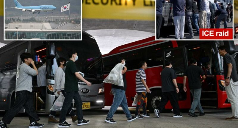 South Korean workers released after days of detention in Georgia return home