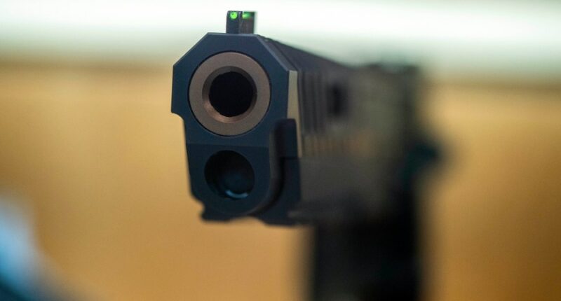 Tampa Bay sheriffs remind residents of 'open carry' restrictions in effect