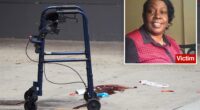 Teen fugitive busted in NYC shooting that killed innocent walker-using grandma, 69: sources