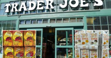 The best Trader Joe's fall items for 2025, according to fans