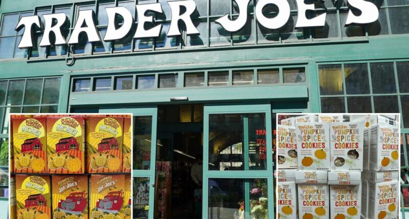 The best Trader Joe's fall items for 2025, according to fans