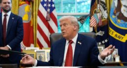 The left is waging a sustained domestic-terror campaign against the Trump presidency
