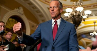 Thune says a shutdown can still be avoided if Democrats 'dial back' their demands