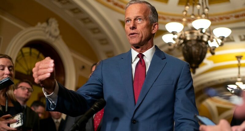 Thune says a shutdown can still be avoided if Democrats 'dial back' their demands