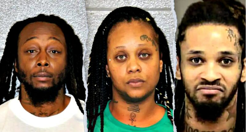 Train stabbing suspect’s family has history of crimes, records show
